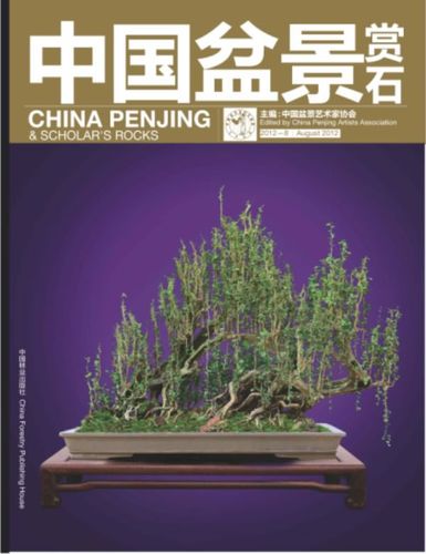 中国盆景赏石:2012-8 中国盆景艺术家协会 书店 工艺美术制品工业书籍